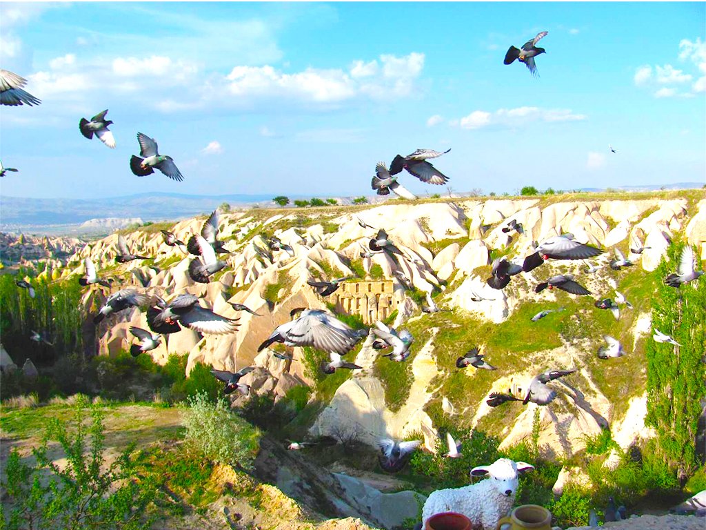 Kapadokya Sarı Tur