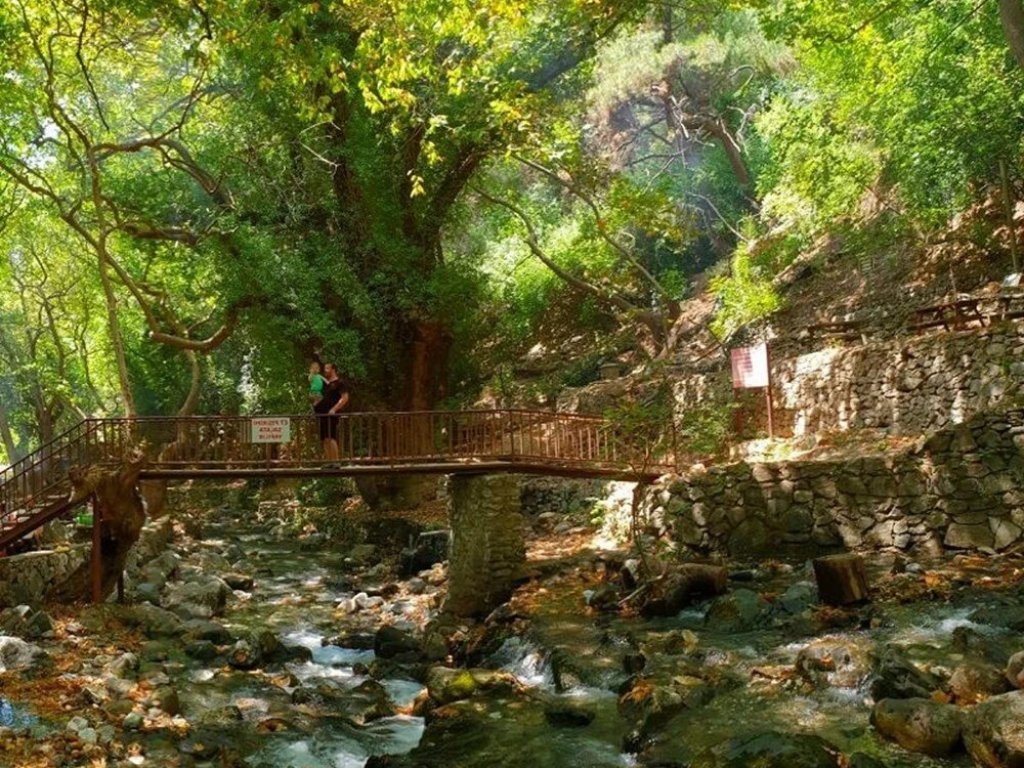 AKÇAY KAZ DAĞLARI SAFARİ TURU