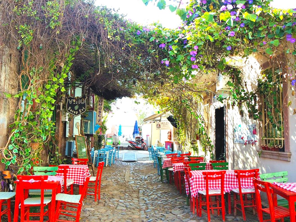 AKÇAY AYVALIK TEKNE TURU