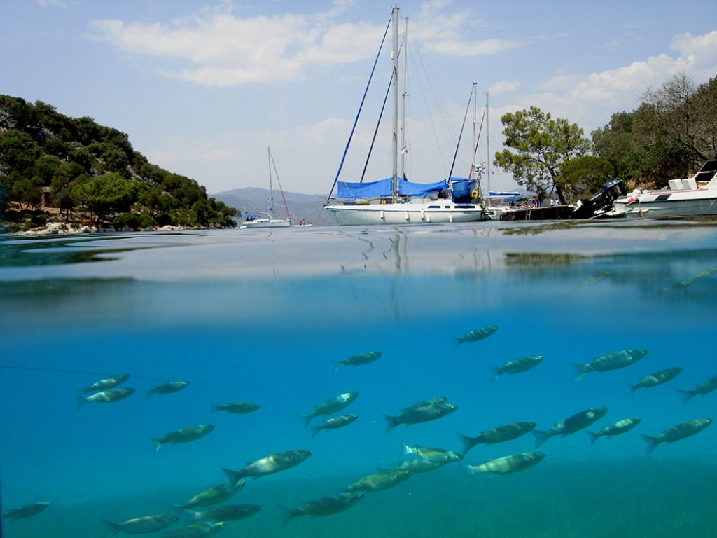 Fethiye 12 Adalar Tekne Turu