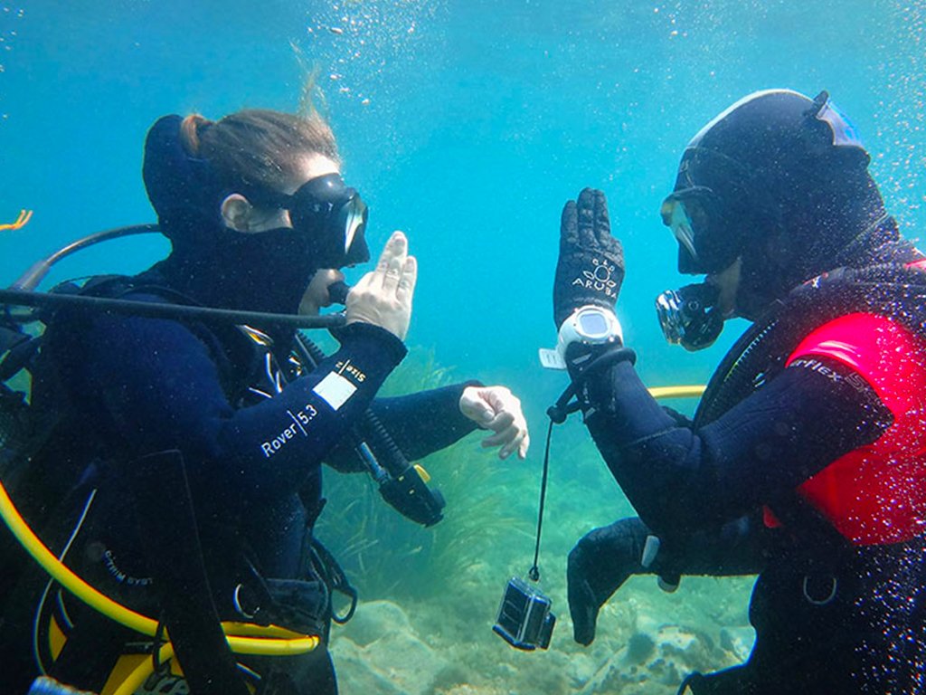 Kuşadası Dalış Turu