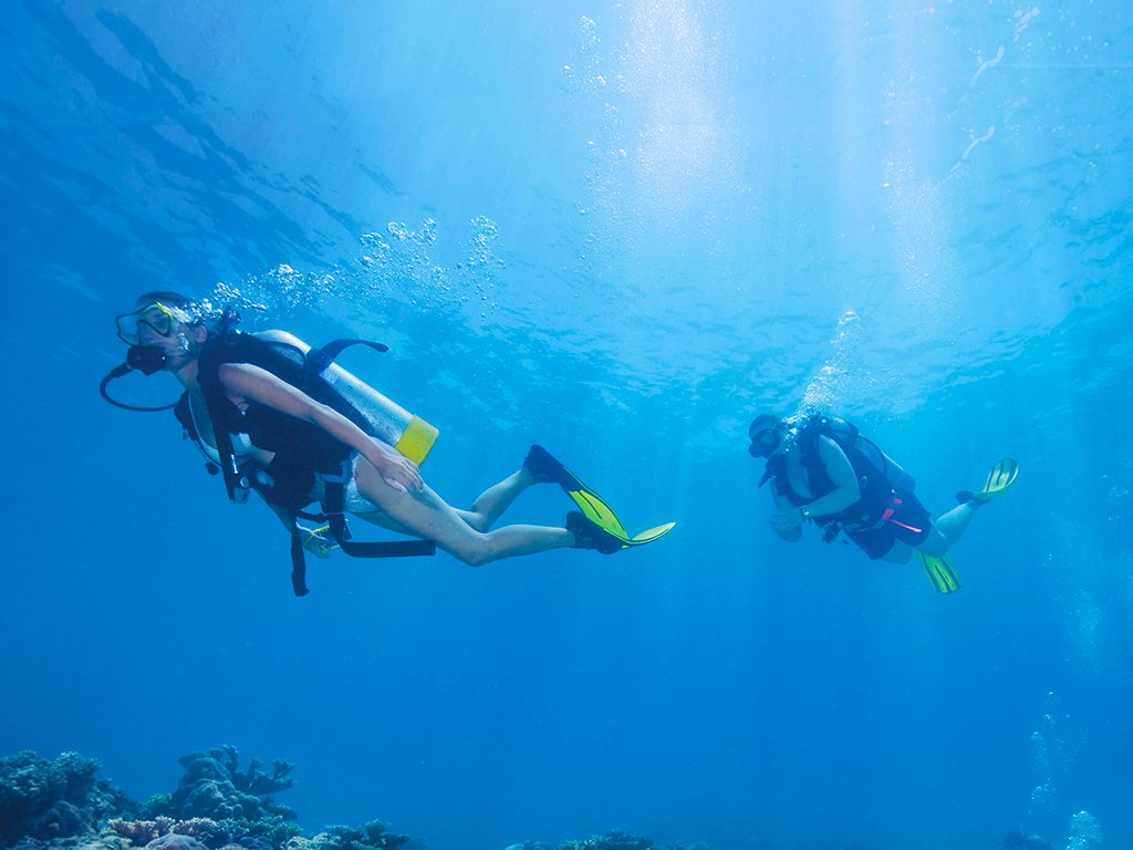 Kuşadası Dalış Turu