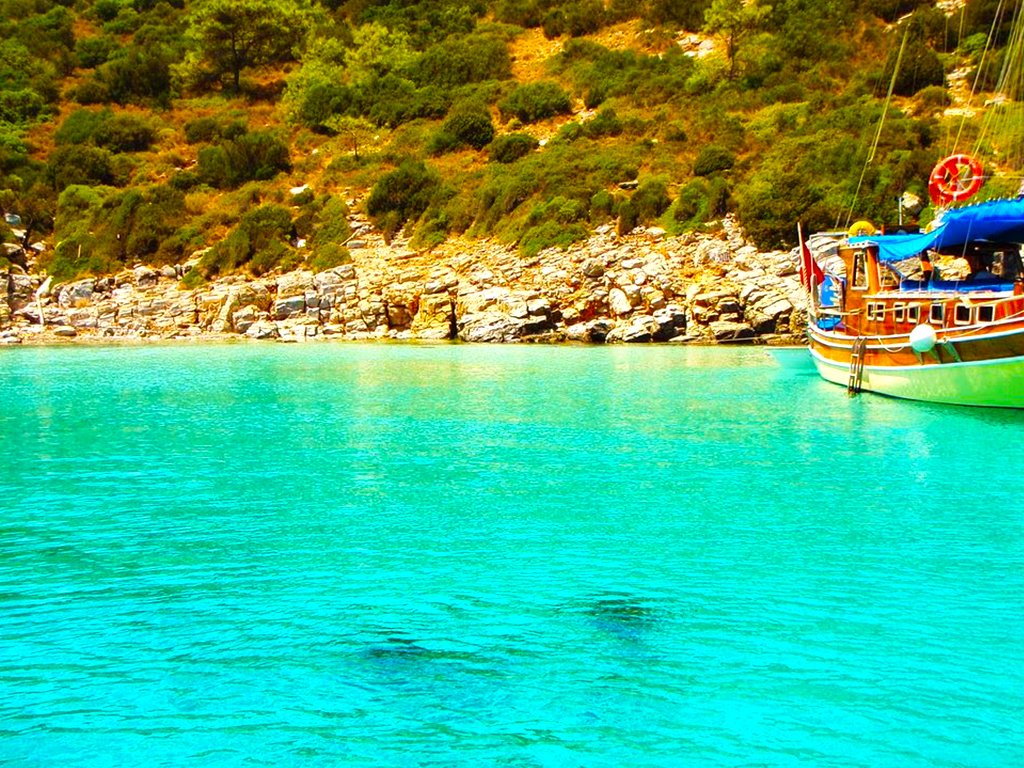 Bodrum Orak Adası Tekne Turu