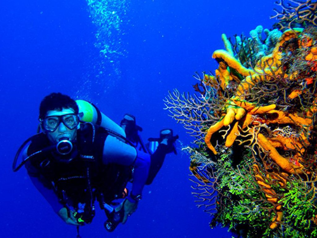 Bodrum Extreme Aktivite Tatil Paketi 