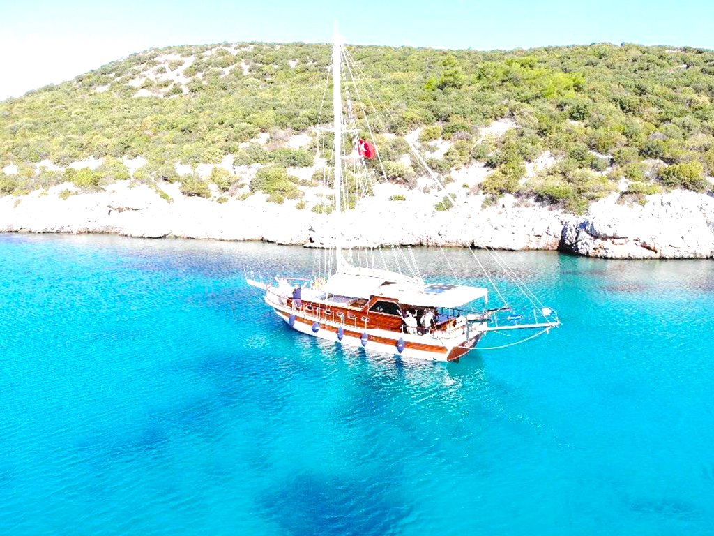 BODRUM - B-PLNT