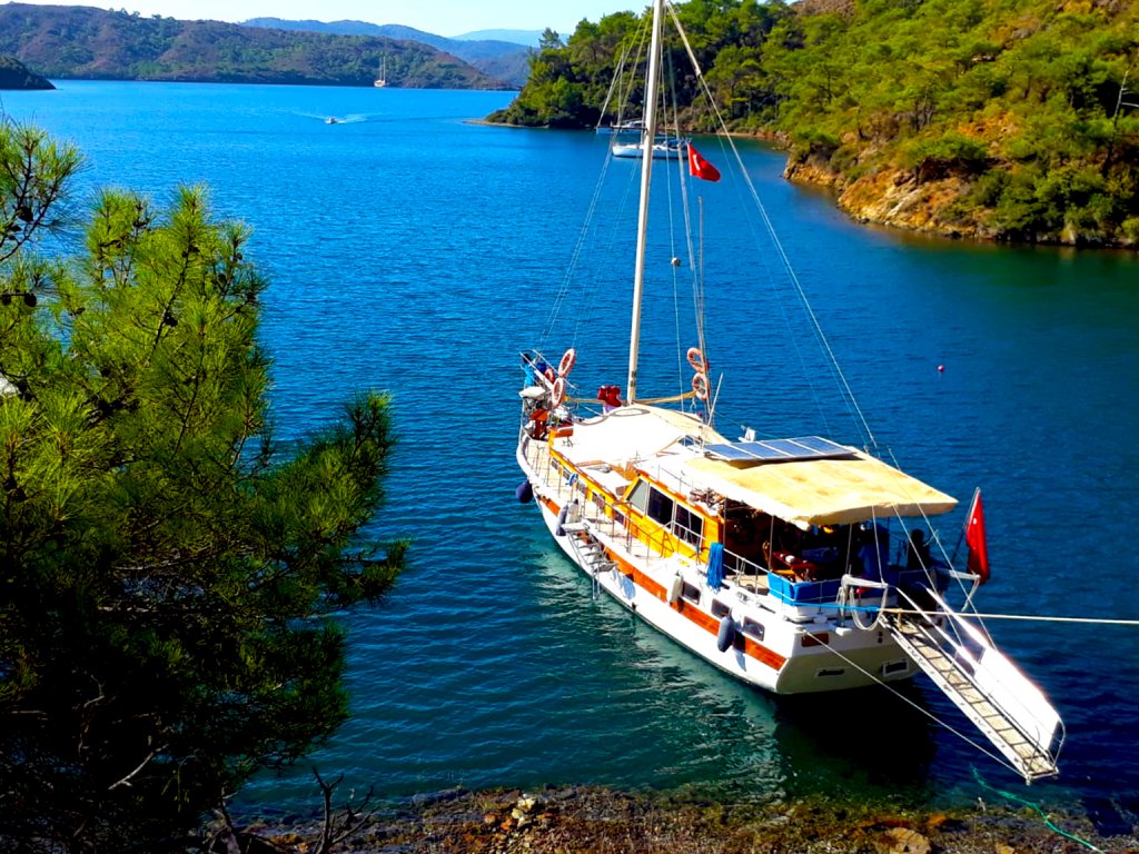 BODRUM - KFD
